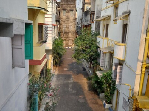 My Peaceful Abode .
