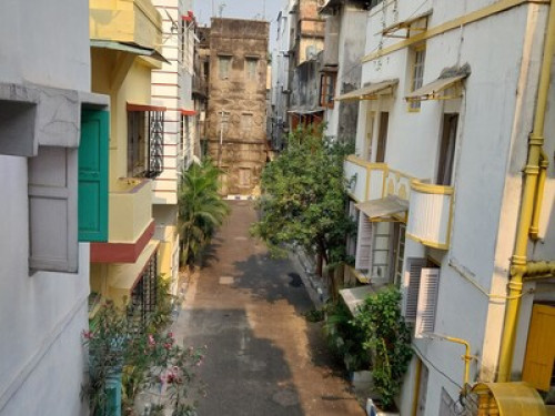 My Peaceful Abode .