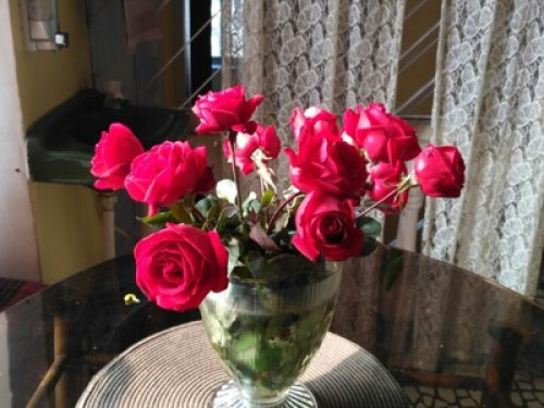 Heritage Kolkata Homestay 