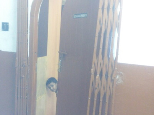 Home-stay for ladies in Kolkata - Gallery - 21