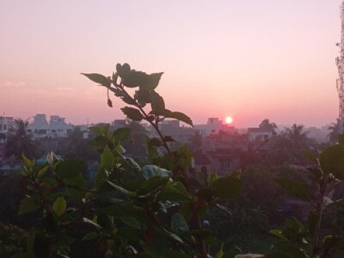 Experience Kolkata