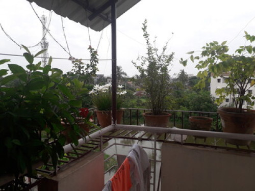 Experience Kolkata - Gallery - 33