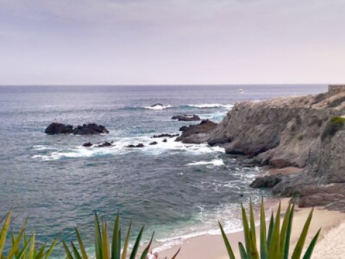 Private Master Room LOS CABOS
