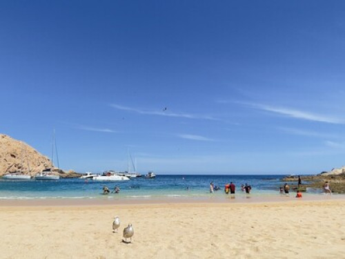 Private Master Room LOS CABOS  - Gallery -  5