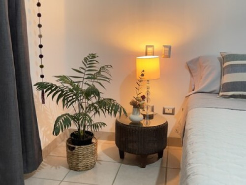 Private Master Room LOS CABOS - Gallery - 22