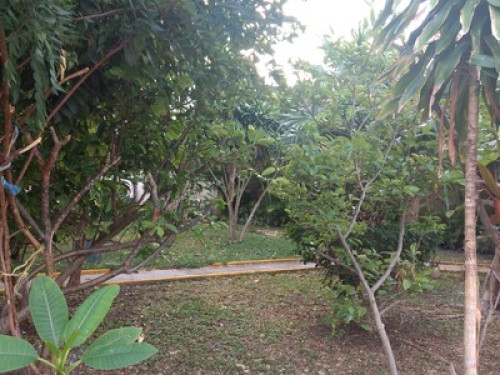 Home away from Home in Cancun - Gallery - 7