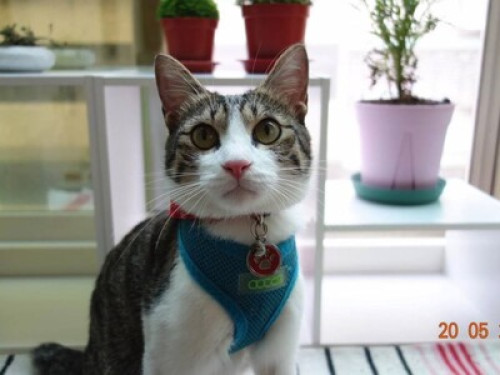 【LOMO101】Double Bed Room Taipei101