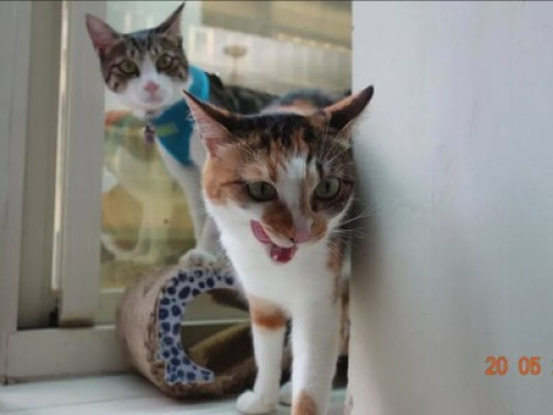 【LOMO101】Double Bed Room Taipei101