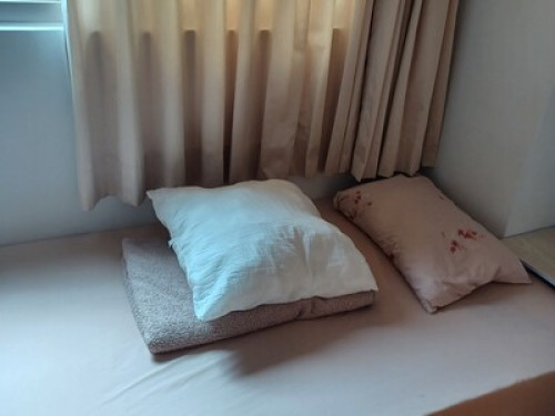 Lovely home as your home - Gallery - 10