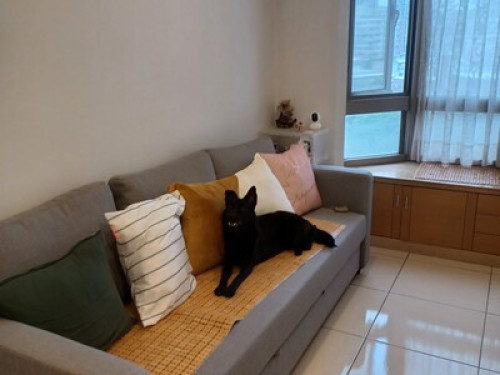 Lovely home as your home - Gallery - 36
