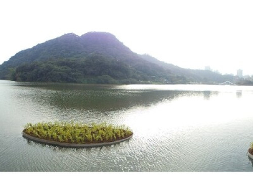 A Little Family Homestay @ Taipei - Gallery - 32