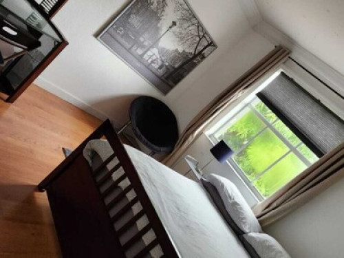 Clean, safe and quiet home. - Gallery - 15