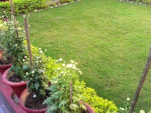 Homestay, One and Two bed rooms - Gallery - 49