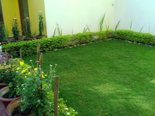 Homestay, One and Two bed rooms - Gallery - 47