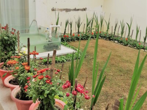 Homestay, One and Two bed rooms - Gallery - 115