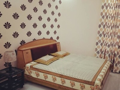 The French House - Gallery - 11