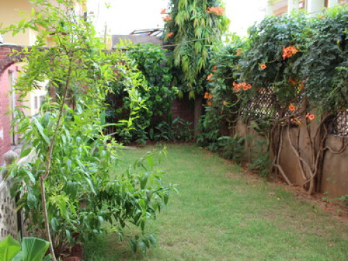 A Regal Home in the Pink city! - Gallery - 29