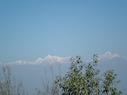 wel come be  part of our family 