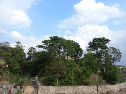 Near the national park in the city - Gallery - 6
