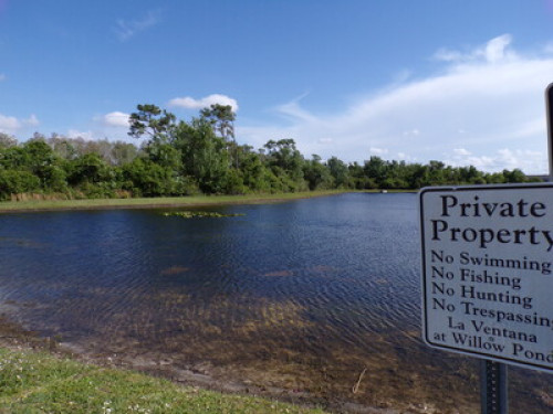 12 Miles Away From Disney Parks!