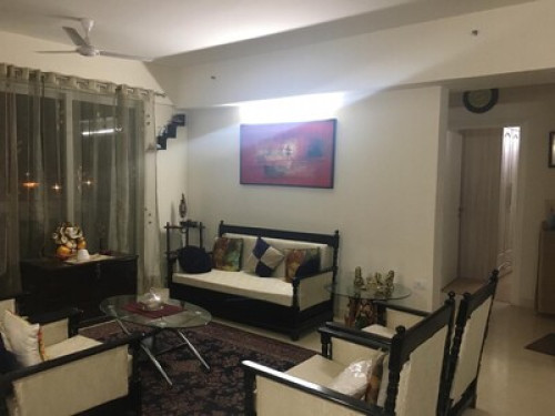 Single  room 