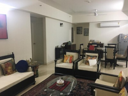 Single  room 