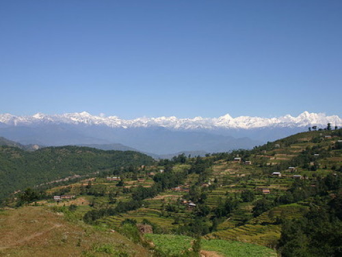Home Stay