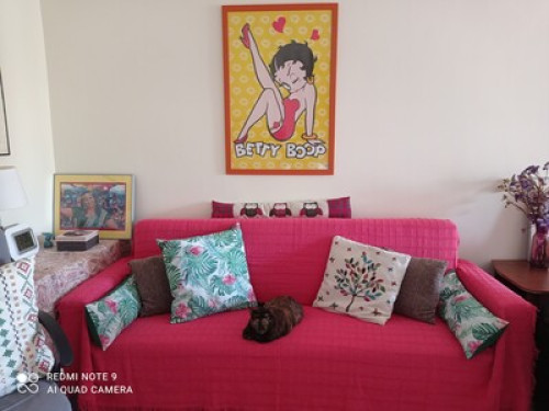 Lovely yoga lifestyle apartment