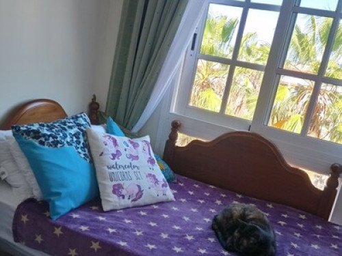 Lovely yoga lifestyle apartment - Gallery - 8