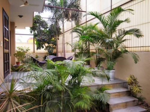 Private Garden with Your Room
