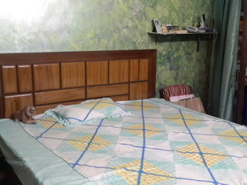 Lalit's home stay