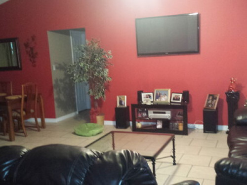 Fun  Friendly Family in Central FL