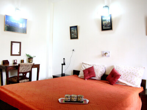 Host Family enjoys reading