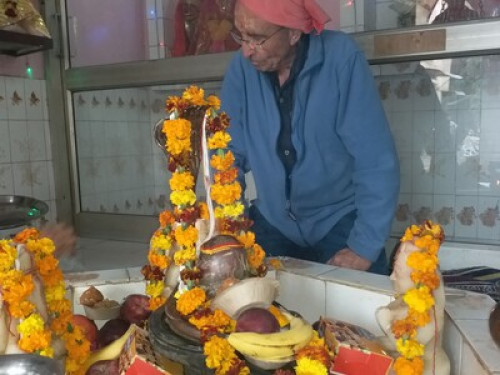 ANANDA HOMESTAY INDIA  - Gallery - 44