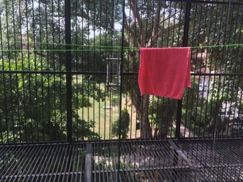 Vegetarian homestay