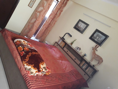 Home away from home  - Gallery - 11