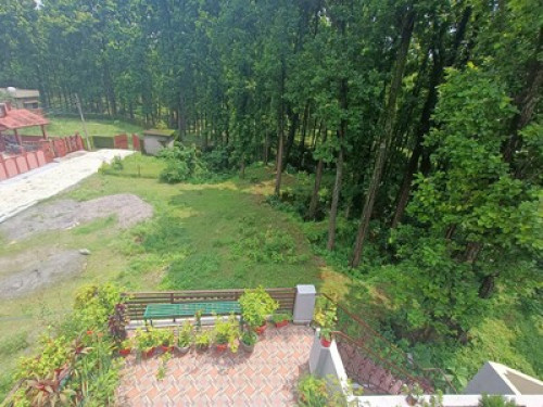 Room in the midst of greenery