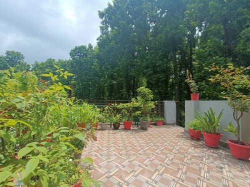 Room in the midst of greenery