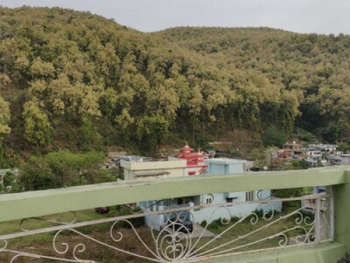 Chilled out family in Dehradun, Ind - Gallery - 23