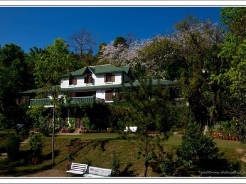 Luxurious Villa in Dehradun  - Gallery - 8