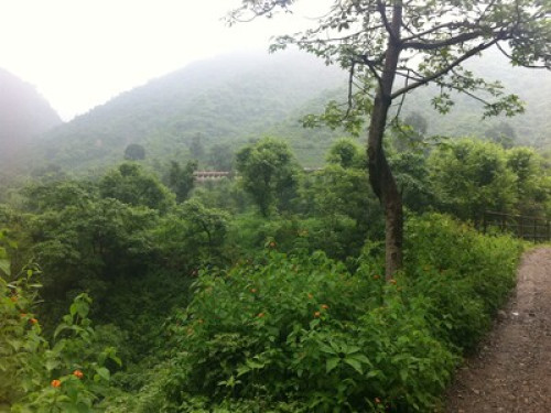 Far away from the maddening crowd. 