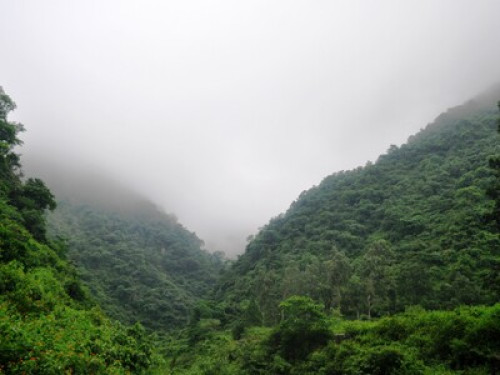 Far away from the maddening crowd. 