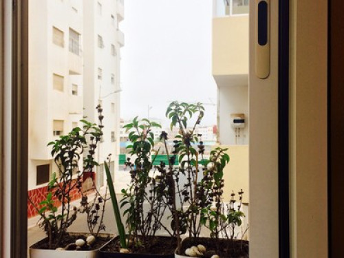 Flat N ° 133