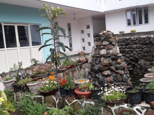 RAJUL NEST