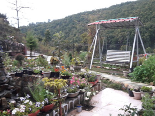 RAJUL NEST