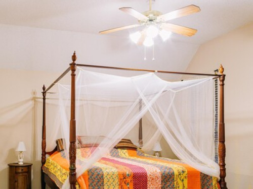 Sunflower Ranch  - Gallery -  5