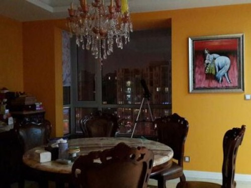 Loves nature Shanghai  - Gallery -  5