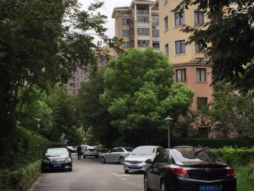 Sammy's house in Shanghai   - Gallery -  5