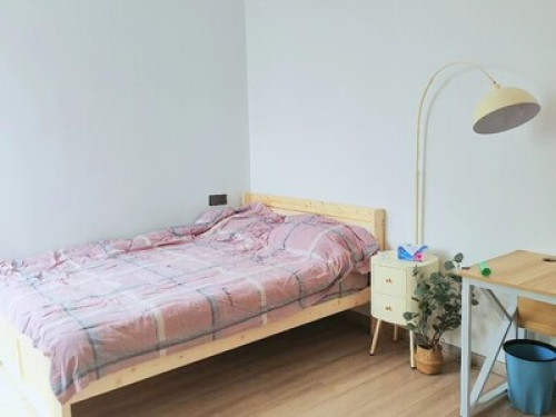 Cultural experience in Lina's Home - Gallery - 51