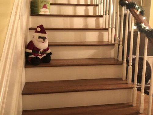 Country living in the city